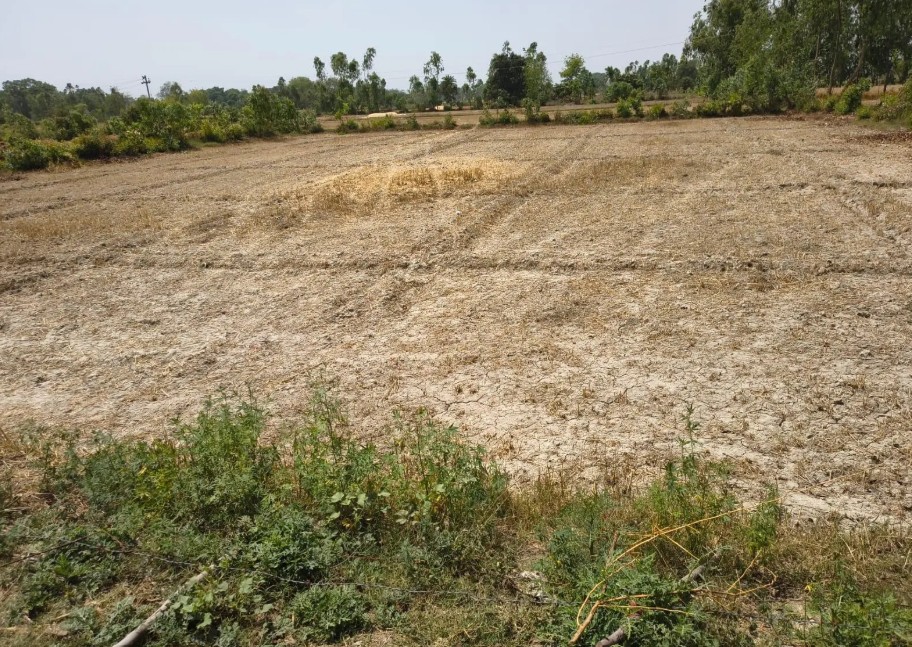 Inland India